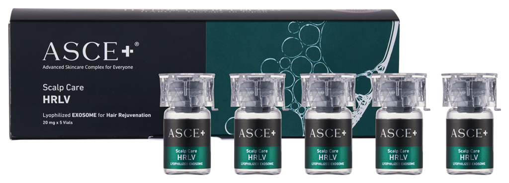 【画像】ASCE＋