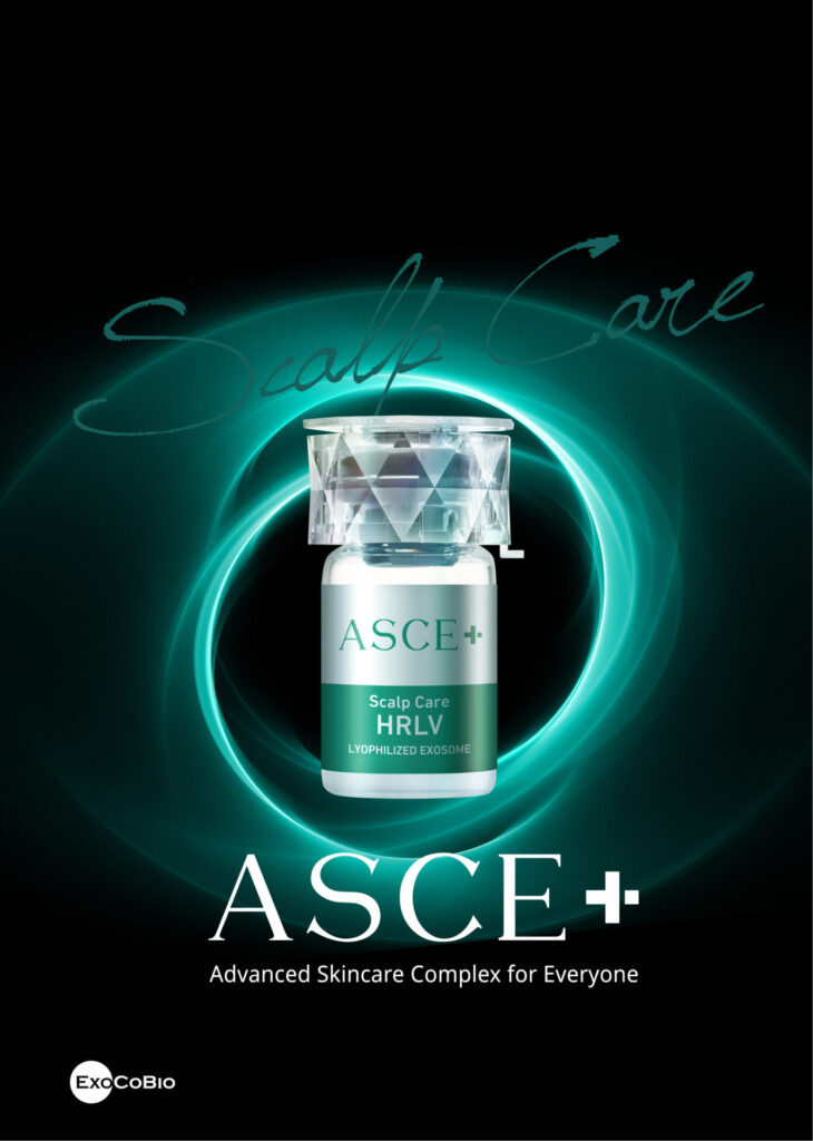【画像】ASCE＋