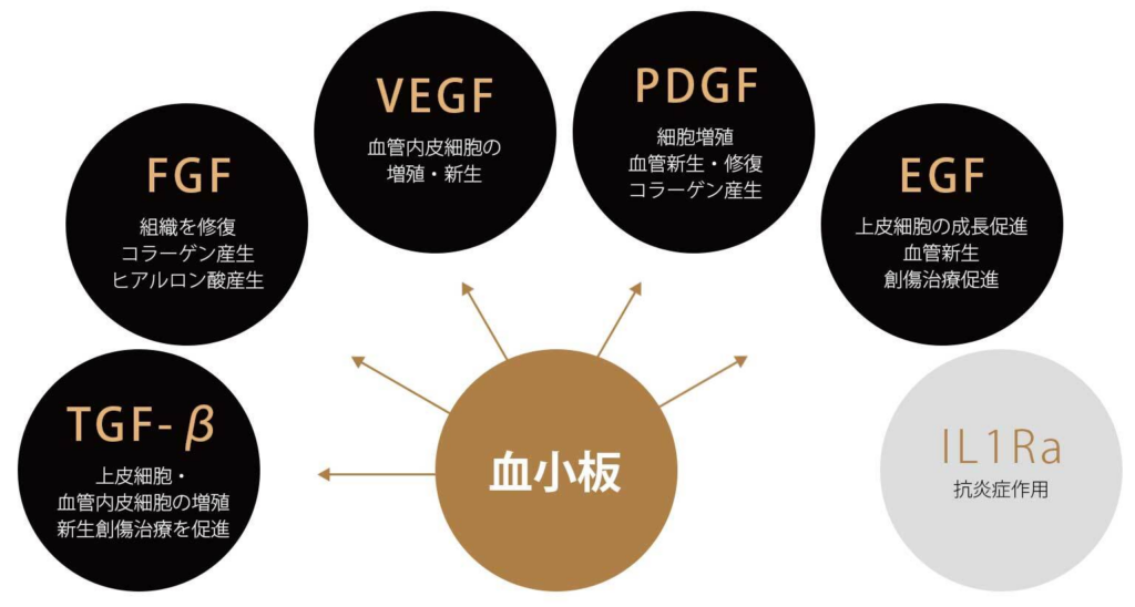 VFDに含まれる成長因子とサイトカインの働き